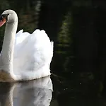 Chateau Du Bois De La Noe Bed & Breakfast 3*