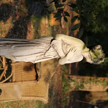 Chateau Du Bois De La Noe Отель типа 