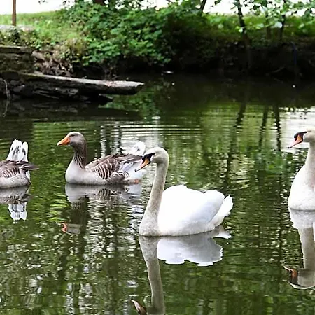 Chateau Du Bois De La Noe 3* Bouaye