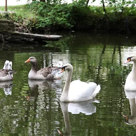 Bed & Breakfast Chateau Du Bois De La Noe Bouaye