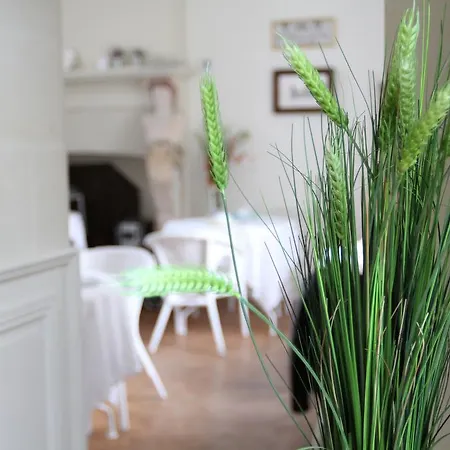 Chateau Du Bois De La Noe Bouaye