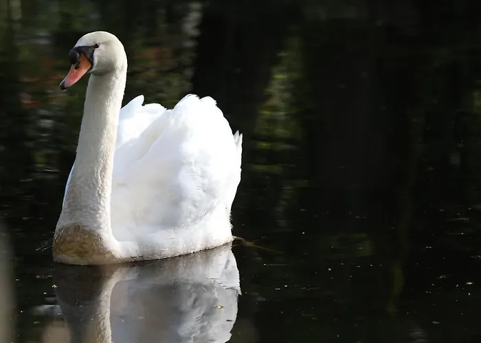 Chateau Du Bois De La Noe Bed & Breakfast 3*