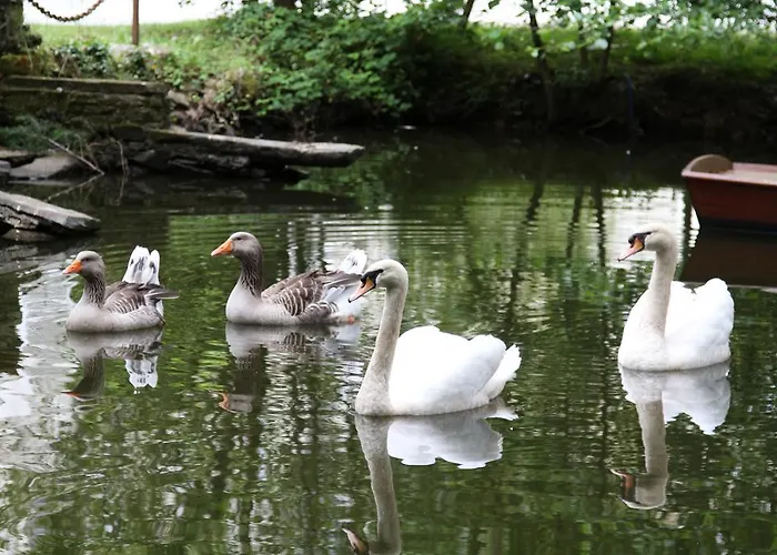 Bed & Breakfast Chateau Du Bois De La Noe Bouaye