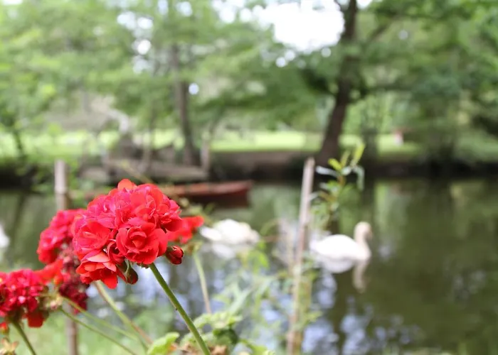D'hôtes Château Du Bois De La Noe 3* Bouaye