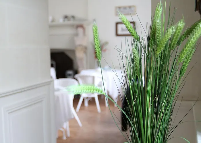 D'hôtes Château Du Bois De La Noe Bouaye